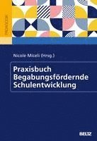 bokomslag Praxisbuch Begabungsfördernde Schulentwicklung