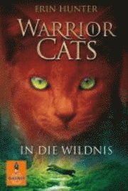 bokomslag Warrior Cats Staffel 1/01. In die Wildnis