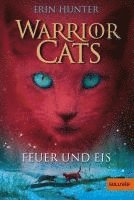 bokomslag Warrior Cats Staffel 1/02. Feuer und Eis