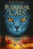 bokomslag Warrior Cats Staffel 1/03. Geheimnis des Waldes