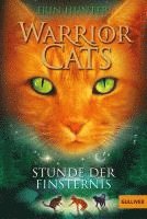 bokomslag Warrior Cats Staffel 1/06. Stunde der Finsternis