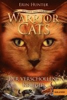 bokomslag Warrior Cats Staffel 4/05 - Zeichen der Sterne. Der verschollene Krieger