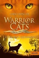 bokomslag Warrior Cats - Special Adventure. Gelbzahns Geheimnis