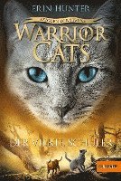 bokomslag Warrior Cats Staffel 4/01. Zeichen der Sterne. Der vierte Schüler