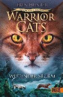 bokomslag Warrior Cats Staffel 6/06 - Vision von Schatten. Wütender Sturm
