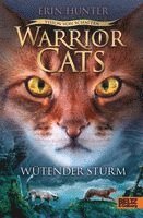 Erin Hunter - Warrior Cats Staffel 6/06 - Vision von Schatten. Wütender Sturm, Inbunden