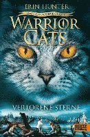 bokomslag Warrior Cats Staffel 7/01 - Das gebrochene Gesetz - Verlorene Sterne