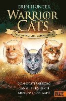 bokomslag Warrior Cats - Die unerzählten Geschichten