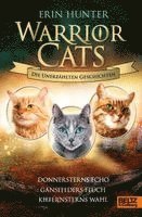Erin Hunter - Warrior Cats - Die unerzählten Geschichten, Inbunden