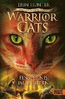 bokomslag Warrior Cats - Das gebrochene Gesetz. Finsternis im Inneren