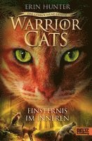 Erin Hunter - Warrior Cats - Das gebrochene Gesetz. Finsternis im Inneren, Inbunden