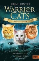 bokomslag Warrior Cats - Mystische Spuren