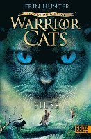 bokomslag Warrior Cats 8/01. - Ein sternenloser Clan. Fluss