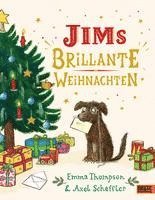 bokomslag Jims brillante Weihnachten
