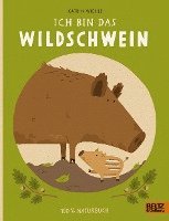 bokomslag Ich bin das Wildschwein