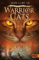 bokomslag Warrior Cats 7/03 - Das gebrochene Gesetz - Schleier aus Schatten