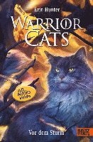 bokomslag Warrior Cats. Die Prophezeiungen beginnen - Vor dem Sturm