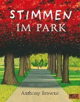 bokomslag Stimmen im Park