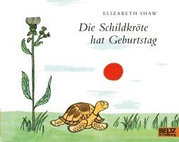 bokomslag Die Schildkröte hat Geburtstag