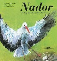 bokomslag Nador