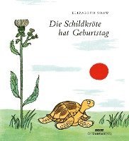 bokomslag Die Schildkröte hat Geburtstag
