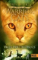 bokomslag Warrior Cats Staffel 3/02. Die Macht der drei. Fluss der Finsternis