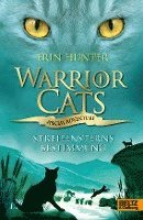bokomslag Warrior Cats - Special Adventure 4. Streifensterns Bestimmung