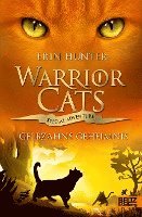 bokomslag Warrior Cats - Special Adventure Gelbzahns Geheimnis