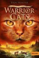 bokomslag Warrior Cats - Vision von Schatten. Fluss aus Feuer