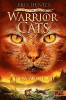 bokomslag Warrior Cats Staffel 6/05 - Vision von Schatten. Fluss aus Feuer