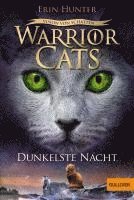 bokomslag Warrior Cats 6/04 Vision von Schatten. Dunkelste Nacht