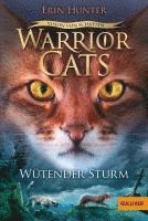 bokomslag Warrior Cats - Vision von Schatten. Wütender Sturm