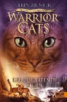 bokomslag Warrior Cats Staffel 5/04. Der Ursprung der Clans. Der Leuchtende Stern
