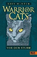 bokomslag Warrior Cats 1/04. Vor dem Sturm