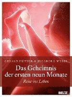 bokomslag Das Geheimnis der ersten neun Monate