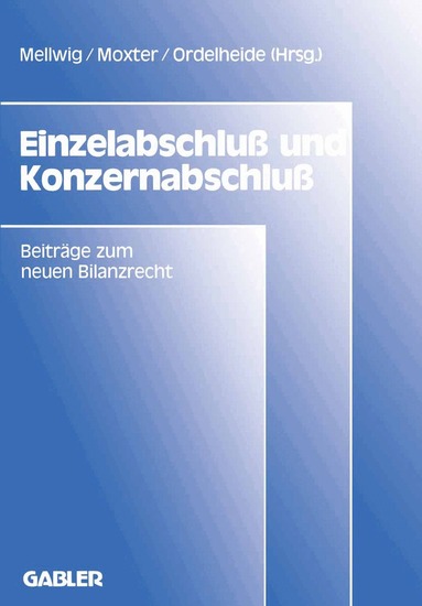 Winfried Mellwig - Einzelabschluß und Konzernabschluß, Häftad