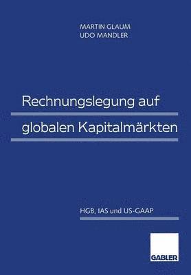 bokomslag Rechnungslegung auf globalen Kapitalmrkten