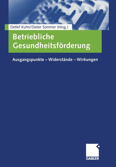 Detlef Kuhn, Dieter Sommer - Betriebliche Gesundheitsförderung, Häftad