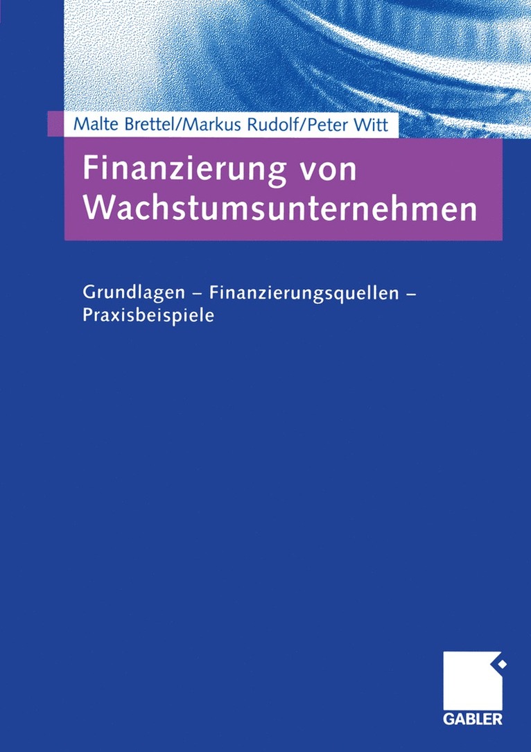 Malte Brettel, Markus Rudolf, Peter Witt, Malte Brettel, Markus Rudolf - Finanzierung von Wachstumsunternehmen, Häftad