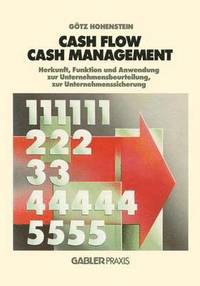 bokomslag Cash Flow und Cash Management