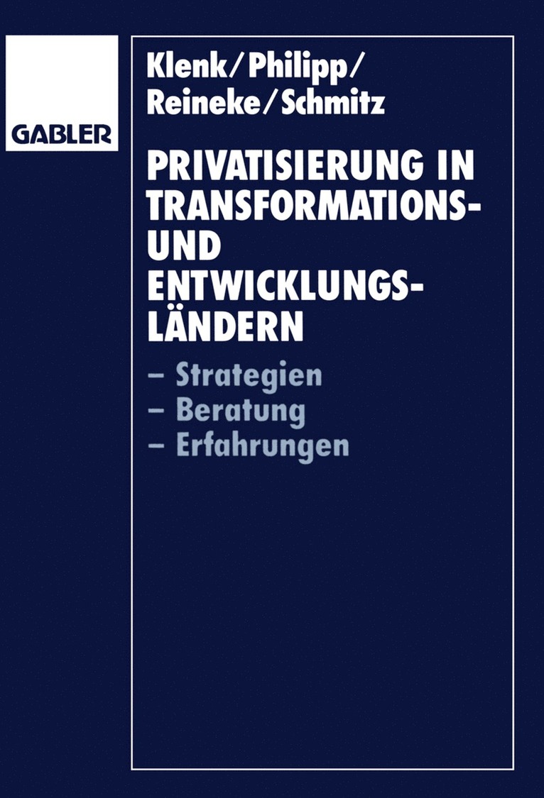 Jürgen Klenk - Privatisierung in Transformations- und Entwicklungsländern, Häftad