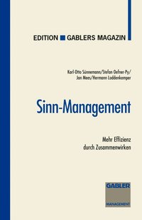 bokomslag Sinn-Management
