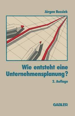 bokomslag Wie entsteht eine Unternehmensplanung?