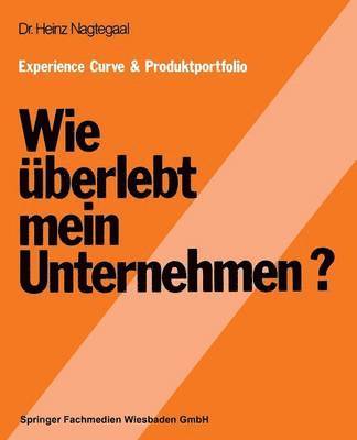 bokomslag Experience Curve & Produktportfolio Wie berlebt mein Unternehmen?