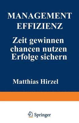 Matthias Hirzel - Management Effizienz, Häftad