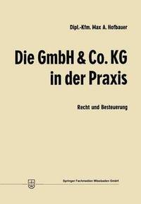 bokomslag Die GmbH & Co. KG in der Praxis