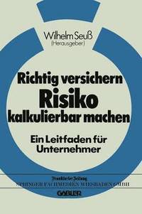 bokomslag Richtig versichern - Risiko kalkulierbar machen