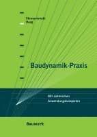 bokomslag Baudynamik-Praxis