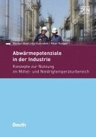 bokomslag Abwärmepotentiale in der Industrie