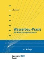 bokomslag Wasserbau-Praxis